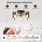 Garwarm 20 Inch Ceiling Fan with Lights and Remote, Black Glass Fandelier