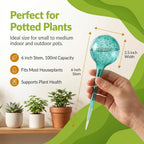 Plant Watering Globes 4 Pack – Self Watering Bulbs, Indoor & Outdoor Plants