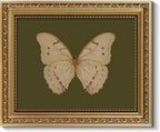 ARPEOTCY Vintage Gold Framed Wall Art, Classical White Butterfly Paintings, 8x10 inch Small Moody Green Canvas Prints with Antique Picture Frame, Victorian Wall Decor for Gallery Living Room Shelf