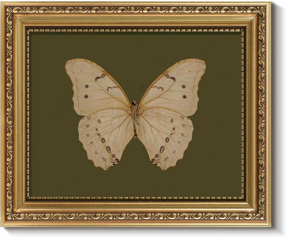 ARPEOTCY Vintage Gold Framed Wall Art, Classical White Butterfly Paintings, 8x10 inch Small Moody Green Canvas Prints with Antique Picture Frame, Victorian Wall Decor for Gallery Living Room Shelf