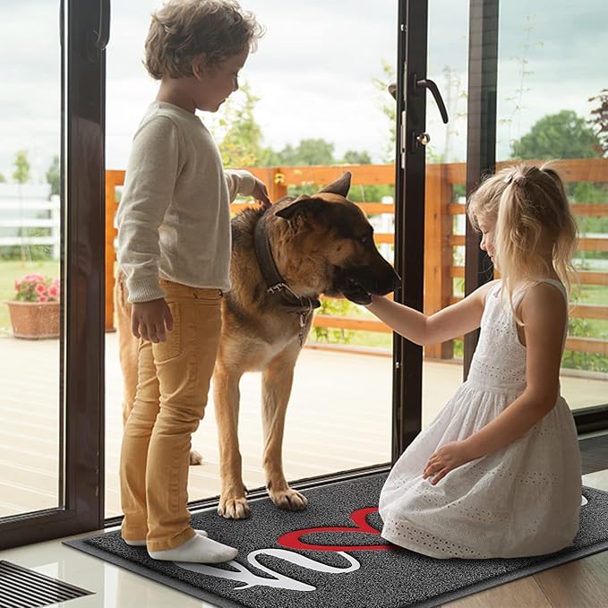 BeneathYourFeet Door Mat, Welcome Mat Low Profile Floor Mat Front Doormat - Image 2