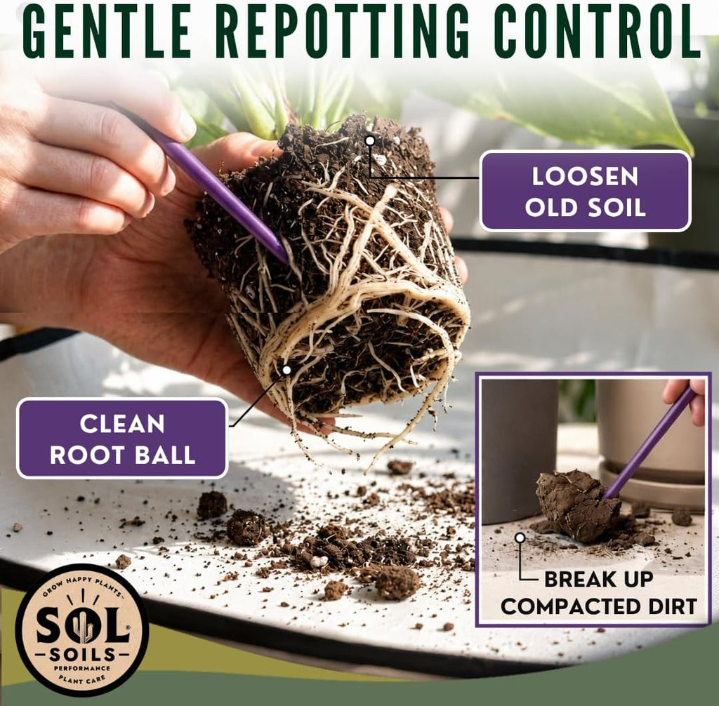 Sol Soils Sol Biotics 2-in-1 Teaspoon and Repotting Soil Pick - Measuring Scoop for Soil Amendments with Plant Repotting Tool for Root Cleaning and Indoor Plant Care