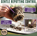 Sol Soils Sol Biotics 2-in-1 Teaspoon and Repotting Soil Pick - Measuring Scoop for Soil Amendments with Plant Repotting Tool for Root Cleaning and Indoor Plant Care