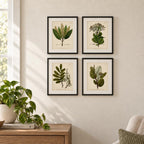 Vintage Botanical Wall Art, Set of 4 Unframed 8x10 Fern Prints