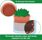 Phoenix Vine 4 Inch Self Watering Plants Pot, Design Terracotta Pot for Plants, Indoor Cylinder Terra Cotta Planter with Glass Vase, Set of 4, 51-A-E-4