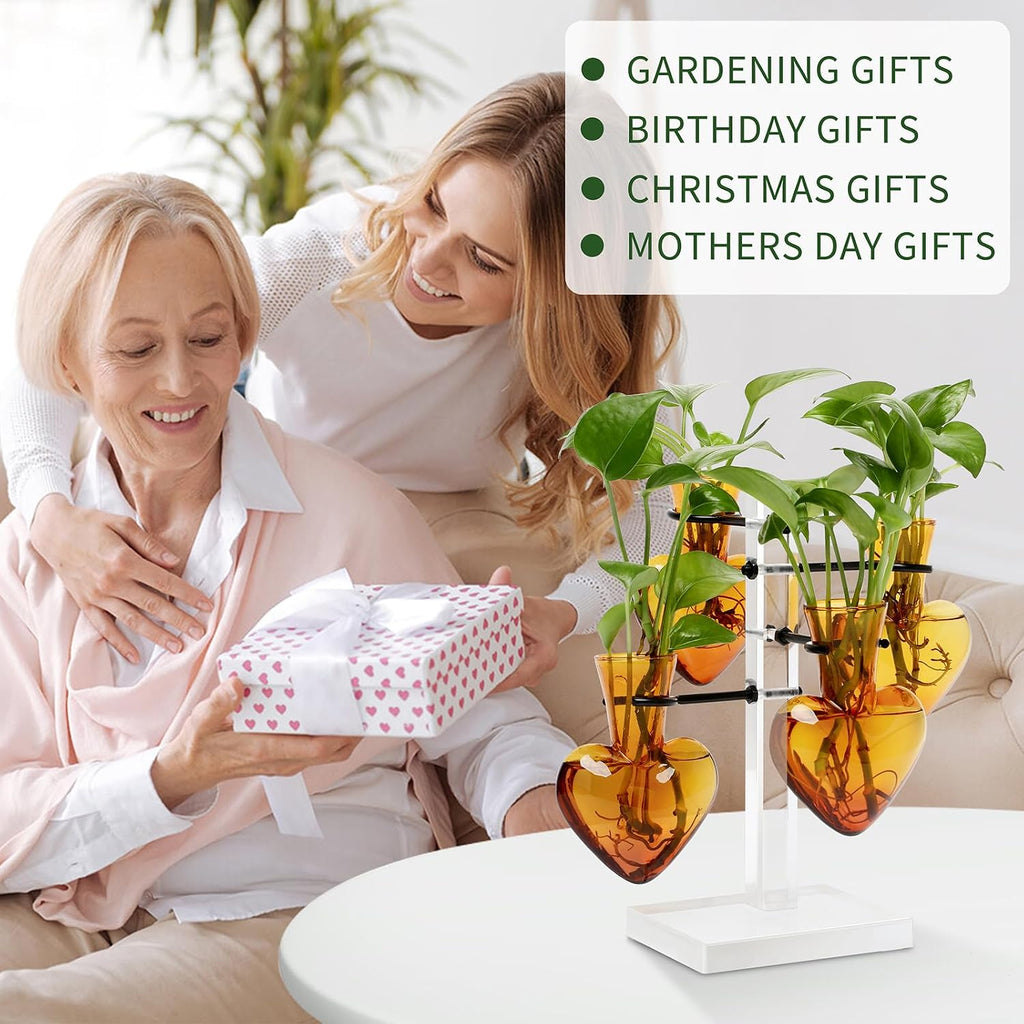 Plants Propagation Stations Plant Terrarium Kit Gift for Women