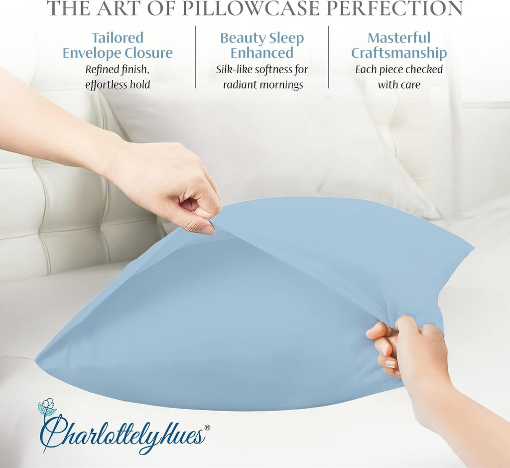 CharlottelyHues Sheet Set 4 Piece 100% Egyptian Soft Cotton King (Sky Blue)
