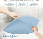 CharlottelyHues Sheet Set 4 Piece 100% Egyptian Soft Cotton King (Sky Blue)