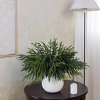 16Pcs 18"Lifelike Touch Artificial Norfolk Pine Branches for Vase Christmas