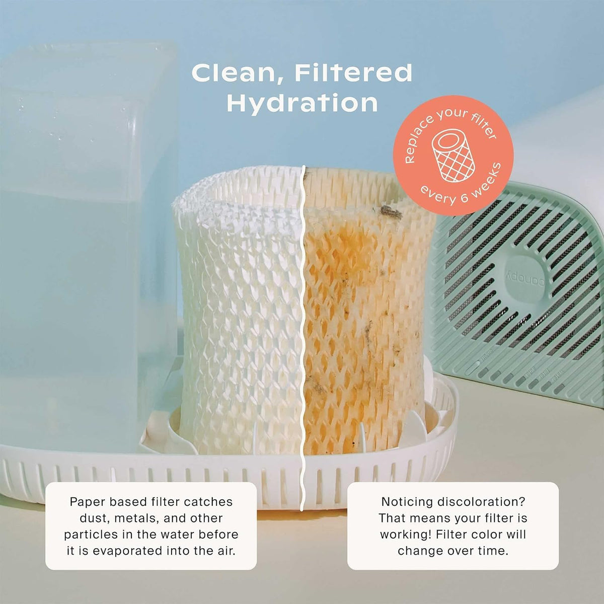 Canopy Original Bedside Humidifier Filter, 1-Pack, 6-Week Replacement