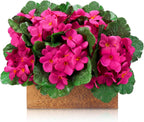 10 Pcs Artificial African Violets, Purple 9 Inches Flowers