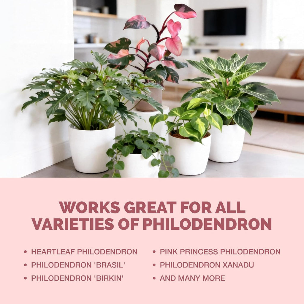 Philodendron Fertilizer, Liquid Plant Food for Bigger Leaves, 8 oz