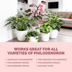 Philodendron Fertilizer, Liquid Plant Food for Bigger Leaves, 8 oz