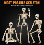 3PC 35.4" Halloween Skeleton with Dog, Posable Skeleton with Full Body Movable Joints for Halloween Decor, Well Made Hanging Plastic Skeleton for Indoor Outdoor Yard, Patio,Front Porch