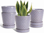 Ceramic Plant Pots, 5 Inch Planters with Drainage Holes and Ceramic Tray, Relief Design Flower Planter, Desktop Office Windowsill Decoration Gift Set of 4 - Lavender