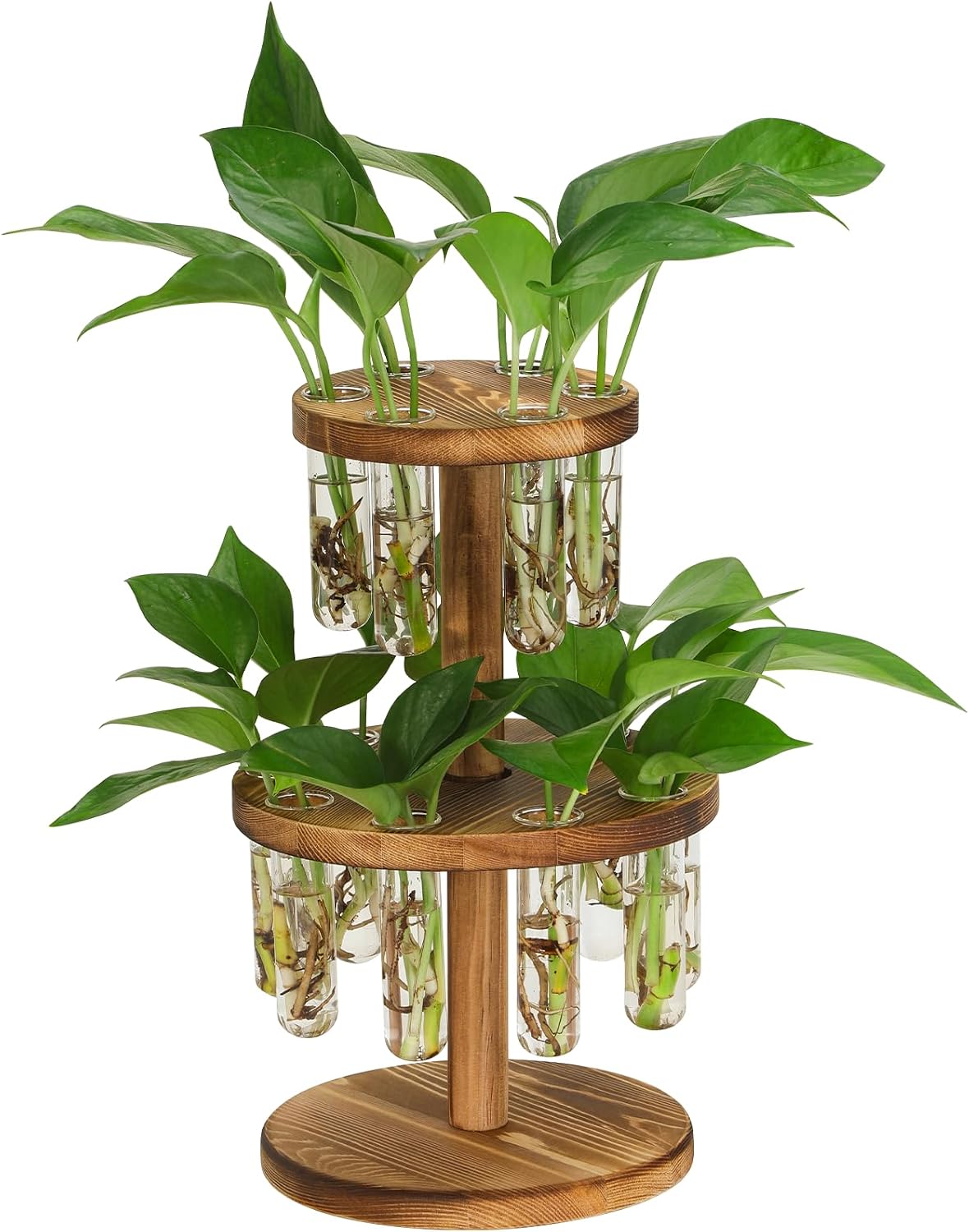 Plant Propagation Station, 9 Propagation Tubes with Wooden Stand