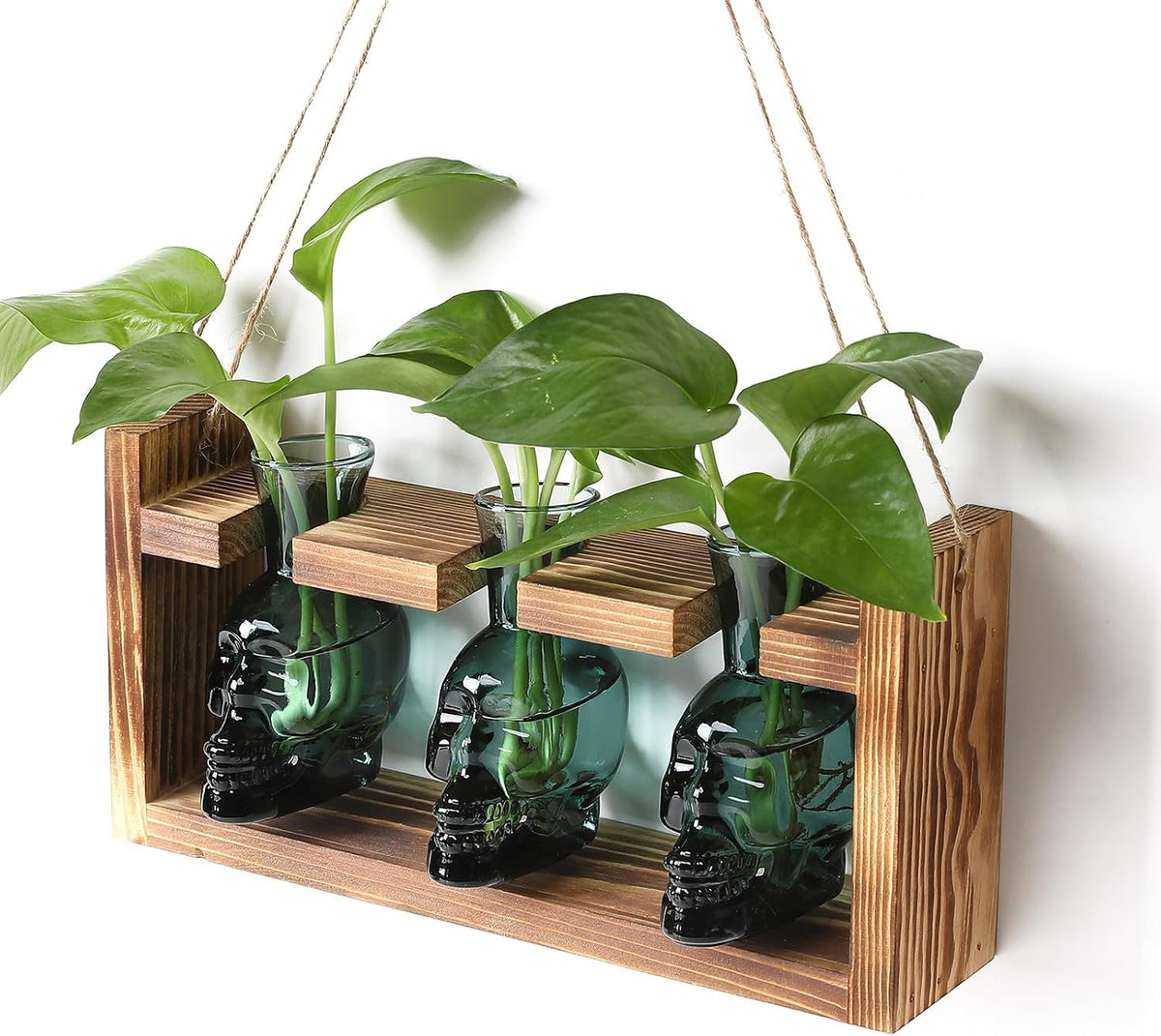 Plant Terrarium Propagation Stations Skull Planter Vase Skulls Decor