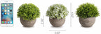 Opps Artificial Plastic Mini Plants Unique Fake Fresh Green Grass Flower in Gray Pot for Home Décor – Set of 3
