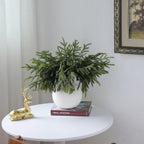 16Pcs 18"Lifelike Touch Artificial Norfolk Pine Branches for Vase Christmas