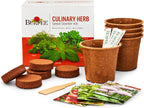 Burpee Culinary Garden Starter Kit Packets, 5 Pots, 5 Coir Pellets & 5 Plant Markers Non-GMO Herb Seeds: Cilantro, Dill, Parsley, Sweet Basil & Chives