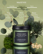 M&SENSE Eucalyptus & Mint Home Scented Candles, 11.6oz Organic Soy Wax, 70H