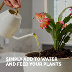 Christmas Cactus Fertilizer - Liquid Plant Food for More Blooms, 8 oz