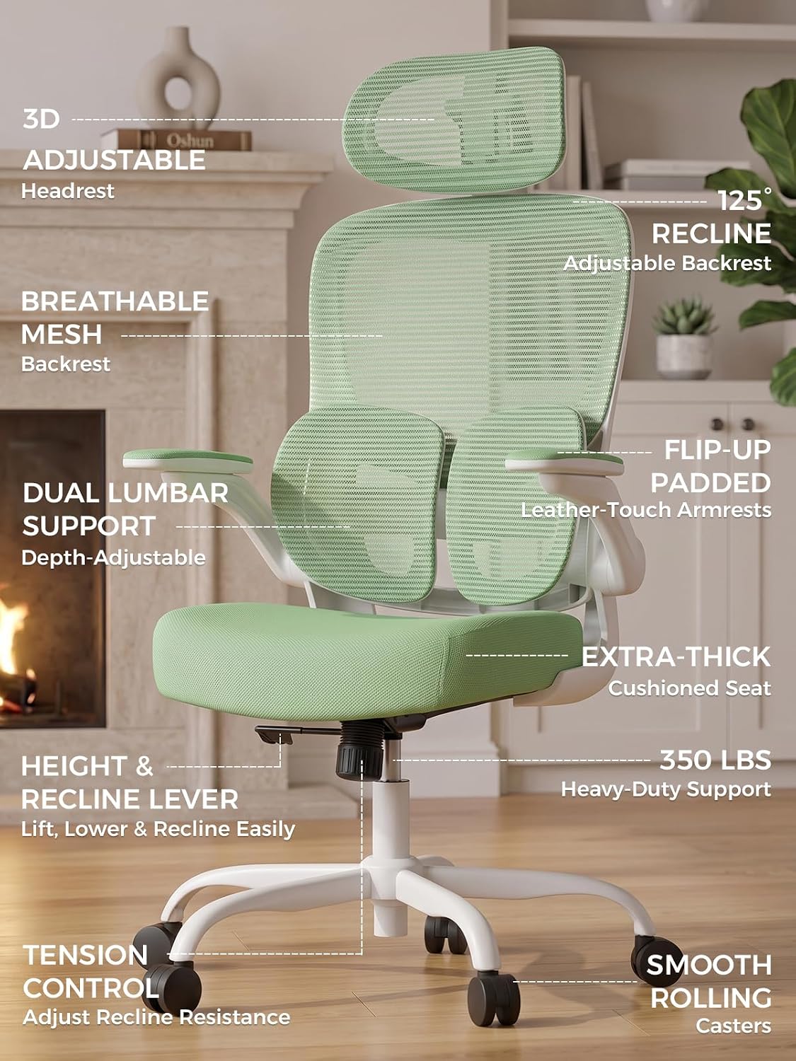 Ergonomic Office Desk Chair, Adjustable Dual Lumbar Support & Thick Seat