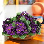 10 Pcs Artificial African Violets, Purple 9 Inches Flowers