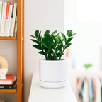 D'vine Dev 4.7 Inch Ceramic Planter Pot, White, 94-O-B-1