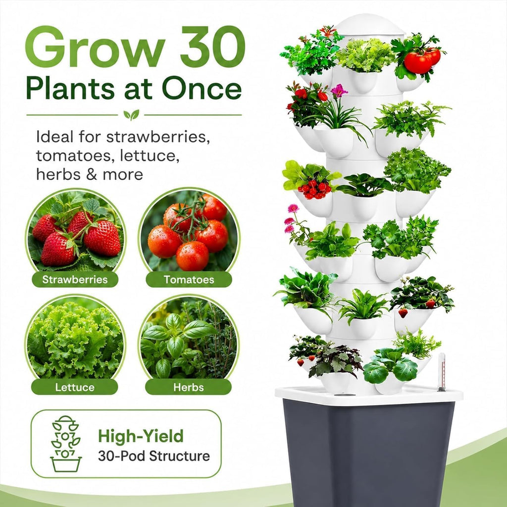 Plants Propagation Station