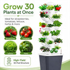 Plants Propagation Station