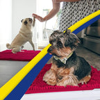 Muddy Mat® | Super Absorbent Door Mat Indoor, Microfiber Quick Dry Chenille - Image 5