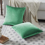 GIGIZAZA Decor Throw Couch Pillow Covers, Velvet Pillow Cases 24 x 24inch - Image 4