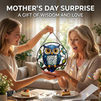 Blue Owl Acrylic Suncatcher Sun Catchers Indoor Window Gifts for Women 9.8"