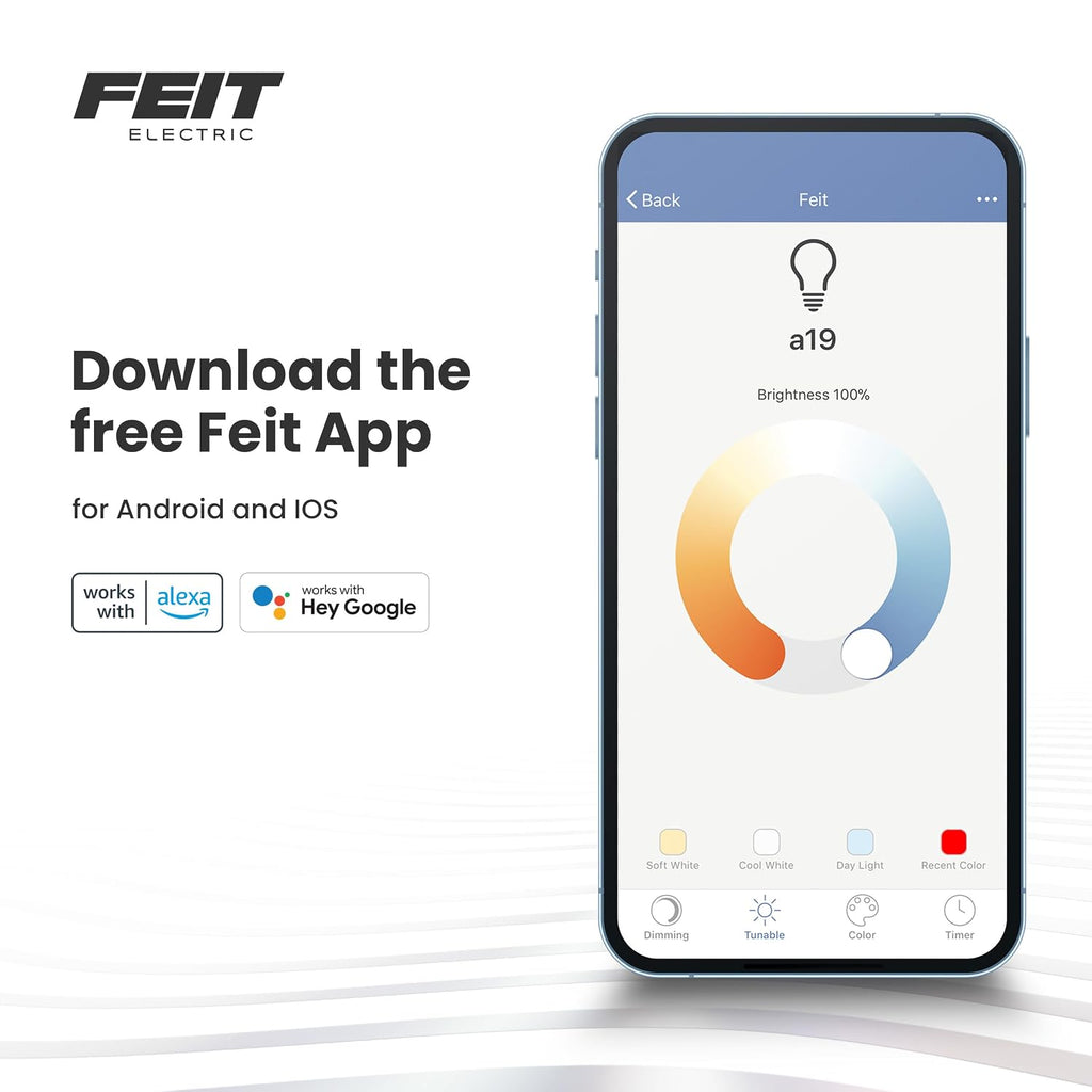 Feit Electric Smart Wi-Fi Plug, Works with Alexa and Google Home