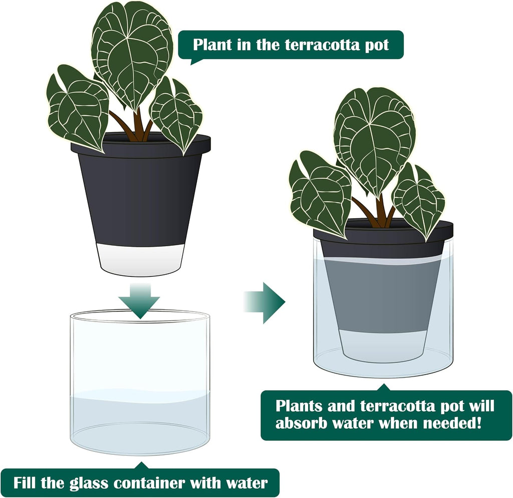 D'vine Dev Self-Watering Black Terracotta Planter Pot, 6 in, 37-X-B-3