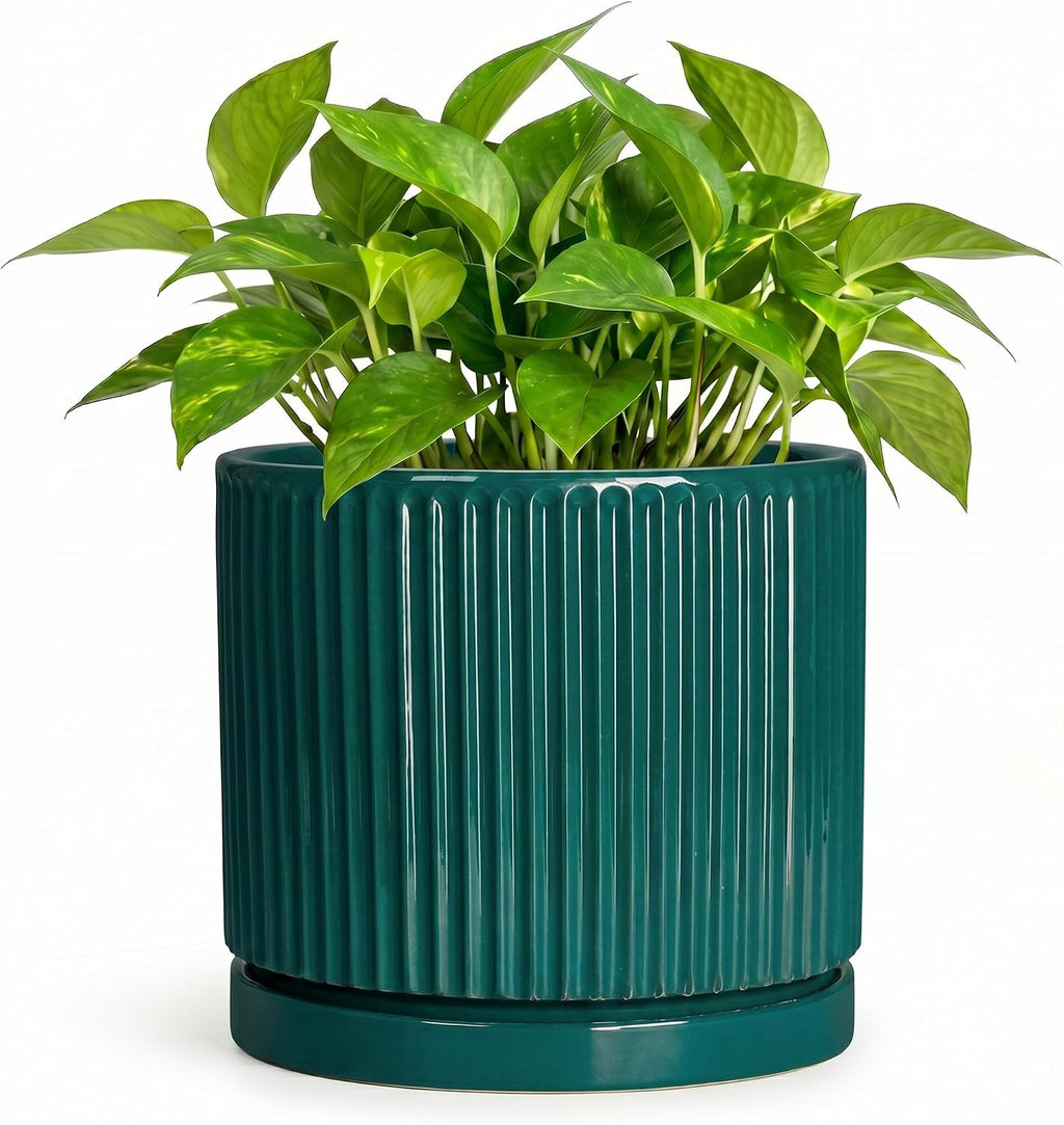 Ceramic Planter, 6 Inch Pots for Plants with Tray, Blackish Green