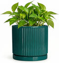 Ceramic Planter, 6 Inch Pots for Plants with Tray, Blackish Green