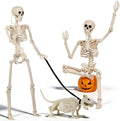 3PC 35.4" Halloween Skeleton with Dog, Posable Skeleton with Full Body Movable Joints for Halloween Decor, Well Made Hanging Plastic Skeleton for Indoor Outdoor Yard, Patio,Front Porch