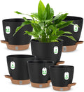 Self Watering Planter Set with Visual Water Level, 6Pack Small Plastic Pot with Drainage Holes and Reservoir Saucers, Modern 8+7+6.5+6+5.5+5 Inch Bottom Watering Flower Pots for Indoor Plant - Black