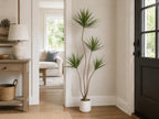 Artificial Dracaena Marginata Tree 5FT Faux Dragon Plant with Roots 60inch