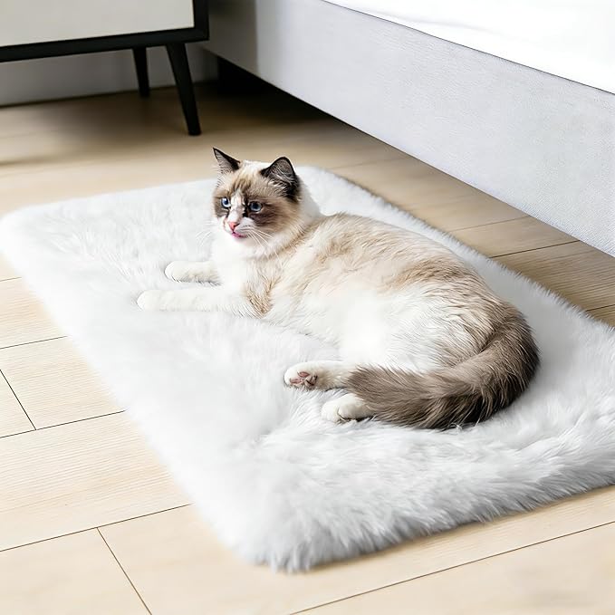 2x3 Fluffy Area Rugs for Bedroom Living Room, Small Soft Shag Fuzzy Rug - Image 6