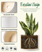 Ceramic Plant Pots, 8.1 + 6 Inch Planters for Indoor Plants, Modern Flower Pots for Plants with Drainage, Medium Cylinder Flower Pots for Indoor Plants, House Plants, Matte White