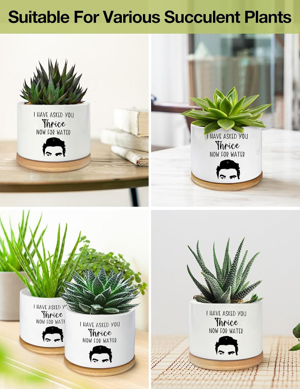 I Have Asked You Thrice Now for Water Ceramic Succulent Planter Pot, Funny Plants Pots Friends Merchandise Gifts, for Women Mom Grandma Plant Lovers Gifts - 3.5 inch(Plant Not Included)