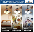 Ceiling Fans with Lights and Remote: 42-Inch Ceiling Fan 3 Blades Bubble Low Profile Outdoor - Walnut Ceiling Fans with Remote Control Quiet Reversible DC Motor for Living Room