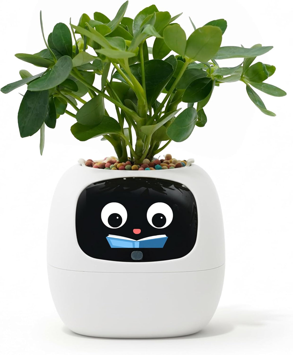 Ivy AI Smart Planter Intelligent Flower Pot for Home Decoration Plants Companion Neat Desk Setup Gift Pet Planter Robot Guidance on Plant Care with Emojis (Cream)