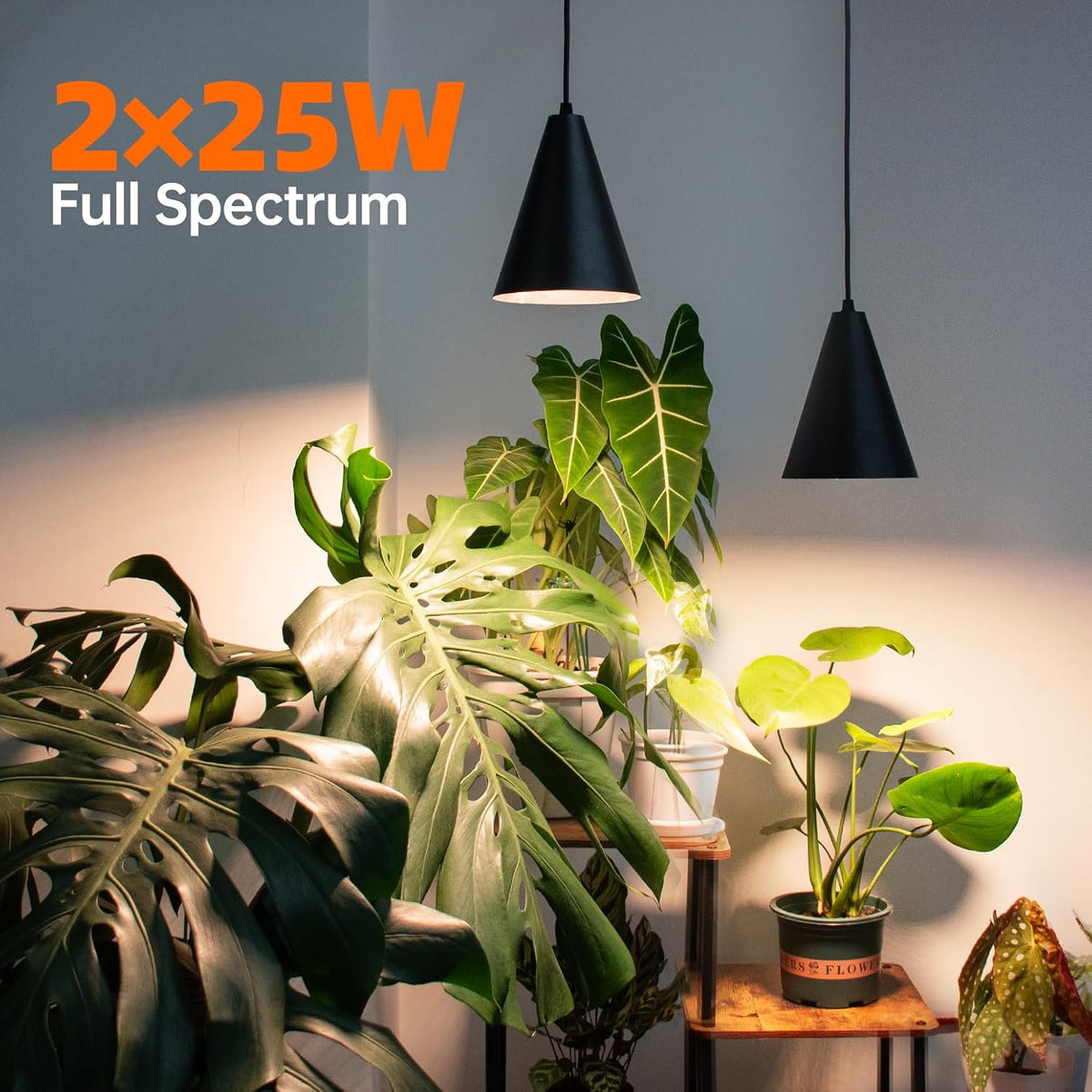 Hanging Grow Light for Indoor Plants, Two Head One-Cord 50W