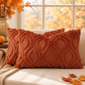 decorUhome Faux Fur Plush Soft Rust Throw Pillow Covers 12x20 Set of 2