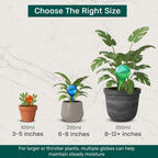 Plant Watering Globes 4 Pack – Self Watering Bulbs for Plants, 200ml Medium