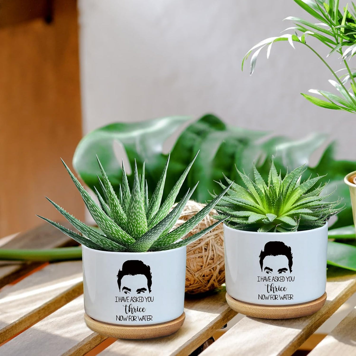 I Have Asked You Thrice Now for Water Ceramic Succulent Planter Pot with Drainage,Funny Plants Pots Gifts,for Women Mom Plant Lovers Gifts,3.5 inch(Plant Not Included)